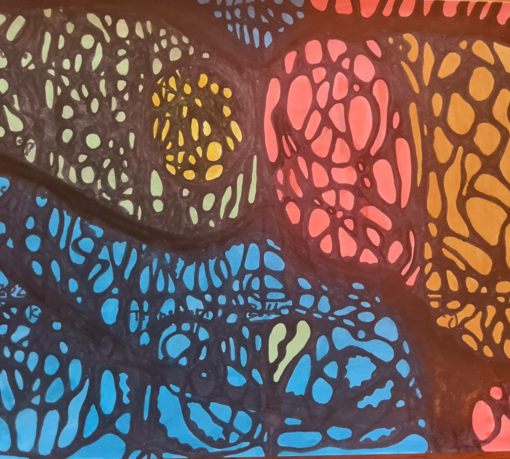 Foto5